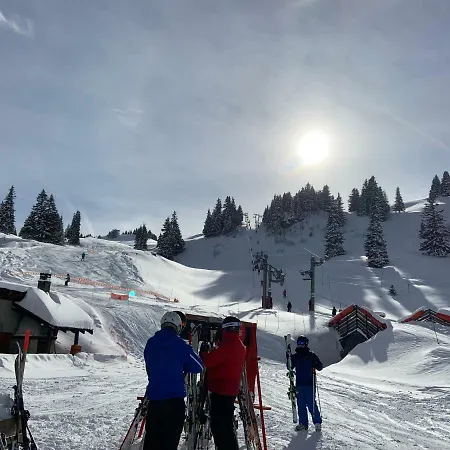 Apartmán Chalet Henri Châtel